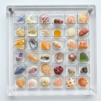 36 Compartment Storage Box, Transparent Organizer, Rock Display Case for Collectors, Beach Souvenir for Seashells