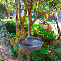Hanging Bird Feeder and Garden Bird Bath, Versatile Resin Round Basin for Adult Birds, Creative Design Outdoor Decor, Multiple Colors Available