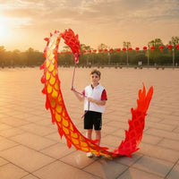 Dragon Dance Prop Scale Pattern Festival Item for Performance, Children