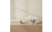 Coral Sculpture with Acrylic Base Textured Coral Ornament Modern for Office