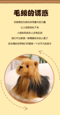 跨境仿真萌宠动物比格犬公仔毛绒玩具可爱长毛约克夏小狗玩偶抱枕