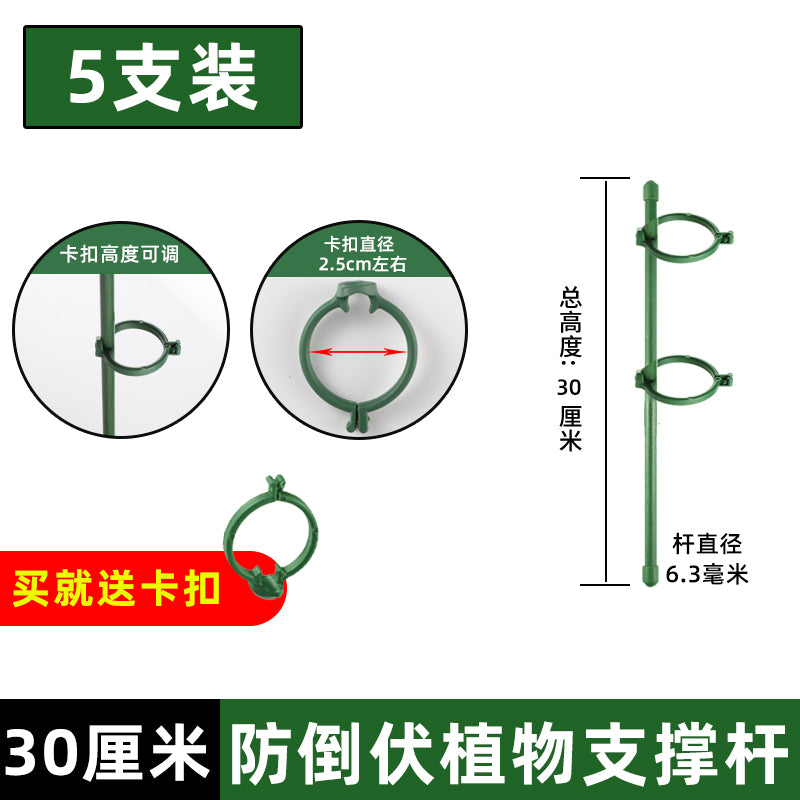 龟背竹支撑杆植物园艺固定神器花支架金钱树绿植花卉防倒伏花架