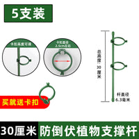 龟背竹支撑杆植物园艺固定神器花支架金钱树绿植花卉防倒伏花架