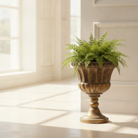 Decorative Urn Antique Grecian Urn Planter Vintage for Entryway, Living Room