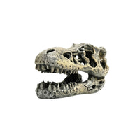 Skull Hideout Weathered Hiding Place Natural-Looking for Terrarium, Reptiles