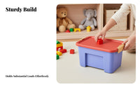 Stackable Box with Lid Visible Contents Clear Box with Colored Lid multi-functional