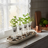 50 Pieces Soilless Gardening Cultivation Basket Kit Reusable Soilless Cultivation Basket Optimal Aeration Gardening Net Cup for Kitchen