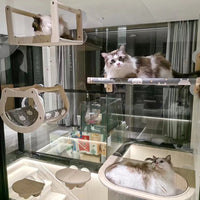 实木猫爬架免打孔吸盘悬挂窗户玻璃晒太阳猫窝太空舱墙壁式猫架子