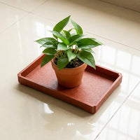 Plant Saucers Made of Heavy Duty Frosted Resin, Drip Tray with Raised Edge, Water Tray and Plant Trays for Outdoor Garden Floor Standing