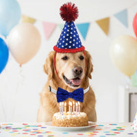 Dog Birthday Costume Hat & Bib Set, Red White Blue, Pet Birthday Outfit for Small & Medium Dogs