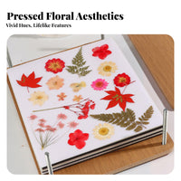 Multi-Layer Botanical Press DIY Crafts Flower Drying Kit Preserves Color