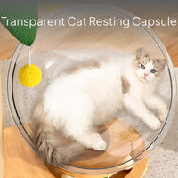 Space Capsule Cat Tree with Scratching Post and Toys