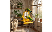 Compact Bird Mirror with Perch and Slow Feeder Rounded Parrot Mirror with Feeder Shatterproof Interactive Bird Toy Sturdy for Budgies