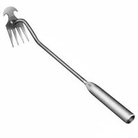 Weeding Rake Hoe Multifunctional Root Pulling Weeder Stainless Steel for Farmers