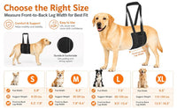 Pet Dog Walking Assistance Belt for Elderly or Injured Dogs