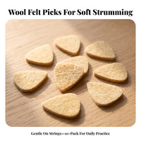 10 Pieces Textured Felt Plectrum