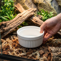 Anti-Tip Ceramic Reptile Water Bowl, Snake Accessories for Vivarium and Shedding Aid, Anti Escape Food Bowl for Geckos and Bearded Dragons