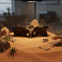 Three Entrance Tunnel Hideout Shelter Underground Cave Decor