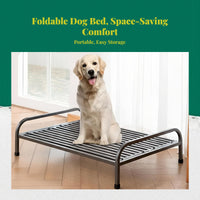 Cooling dog bed with removable cover
