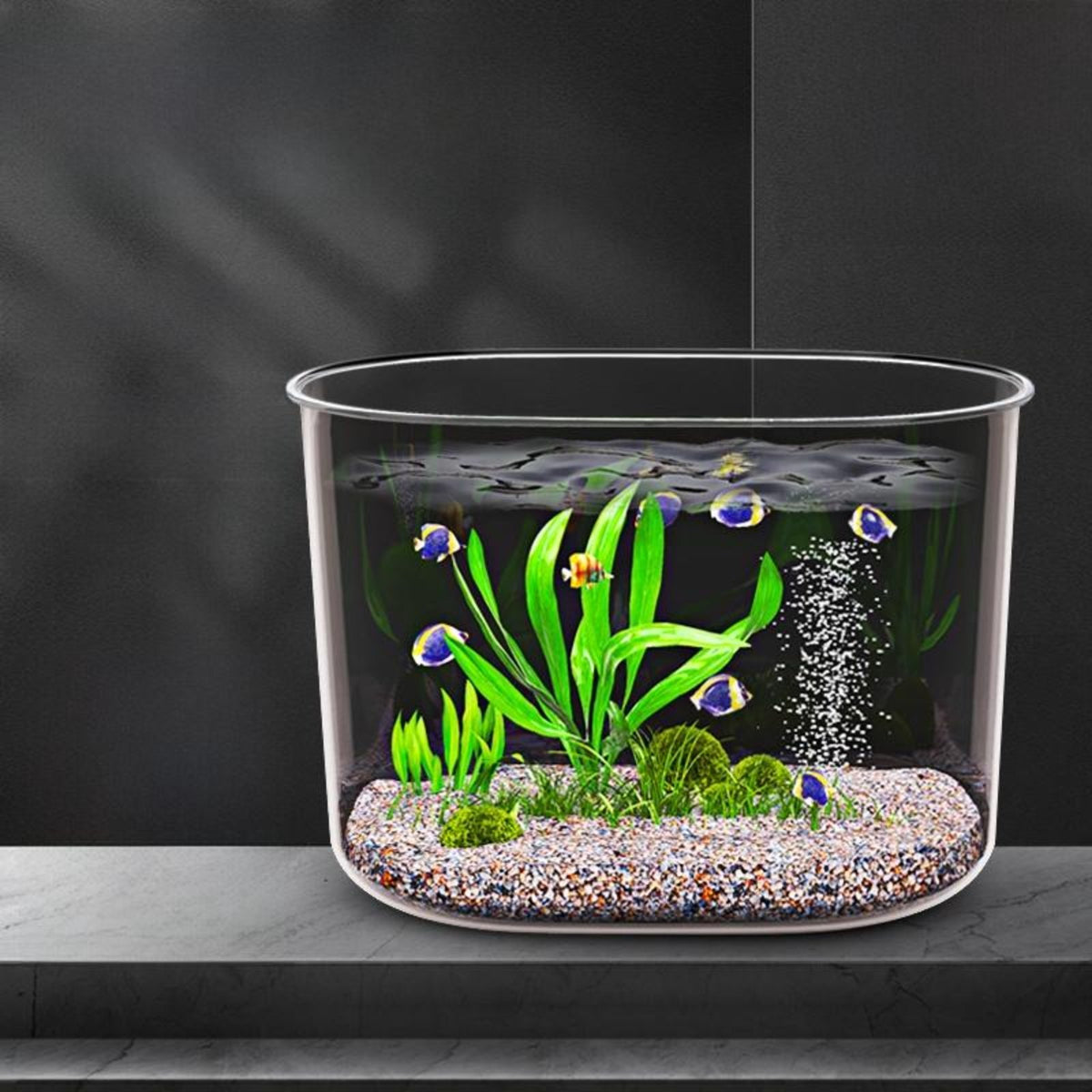 Acrylic Desktop Aquarium, Transparent Fish & Turtle Bowl