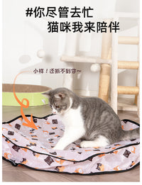 Interactive Cat Toy with Sound and Hide-and-Seek Cover