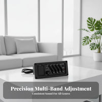 4-Band Equalizer Pickup System Volume Control 4 Band Equalizer Equalizer