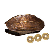 Brass Money Turtle Figurine Copper Turtle Shell Handheld Ornament