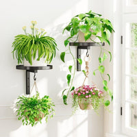 Wall Plant Hook Bracket with Integrated Hook, Quick Install, Indoor/Outdoor, Metal, CL-518