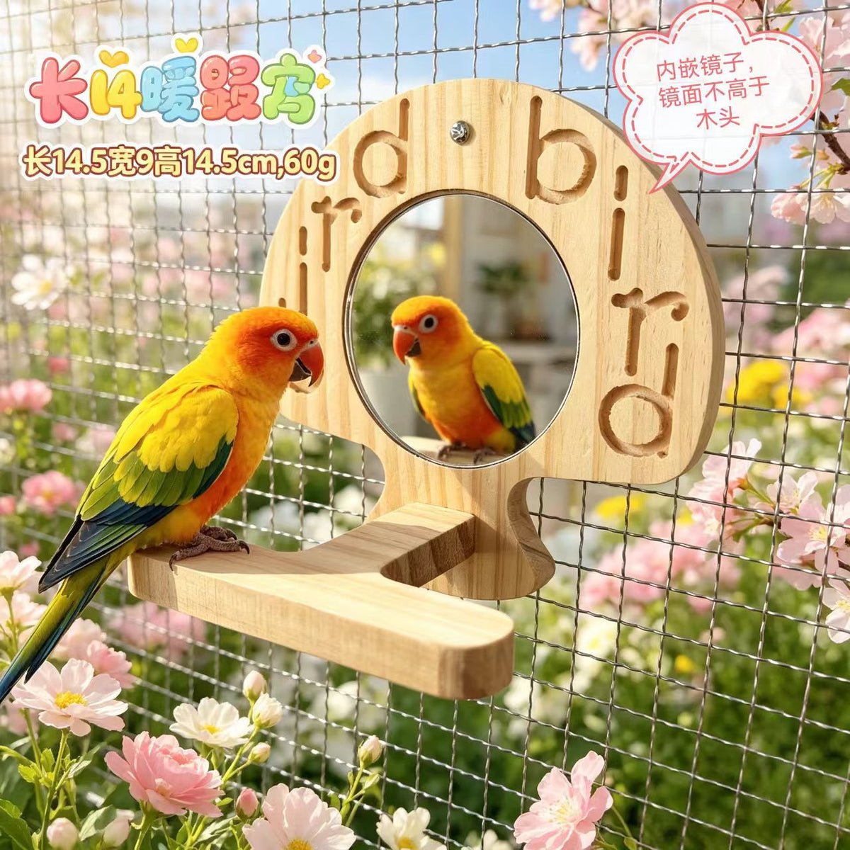 Solid Wood Parrot