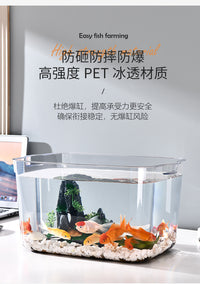 Plastic Desktop Small Fish Tank with Green Plant Lid Transparent Aquarium for Goldfish Turtle