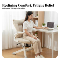 Ergonomic Mesh spine Chair Height Adjustable Office Furniture 360-Degree rotate