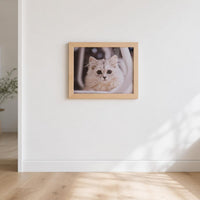 Wall-Mounted Cat Perch with Pegboard, Solid Wood Cat Climbing Frame, No-Drill Cat House & Shelf