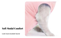 Breathable Material Cat Spay Recovery Suit Soft Material Cat Recovery Suit Easy to Wear for Veterinarians, Veterinary Medical Facility