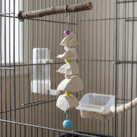 Parrot gnaw Toy with Bell, Hanging Bird Toy for oral Care, Enrichment avian snack for Birds, Parrot Accessories