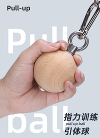 攀岩指力训练握力器榉木防滑引体向上训练球练臂肌腕力小臂力量球
