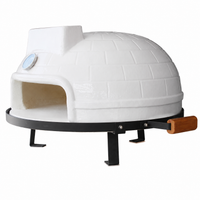 ceramic pizza oven