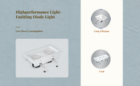 Adjustable double LED downlight