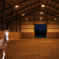 Horse Lunge Line High-Visibility Horse Lunging Rope Easy to Grip for Riders