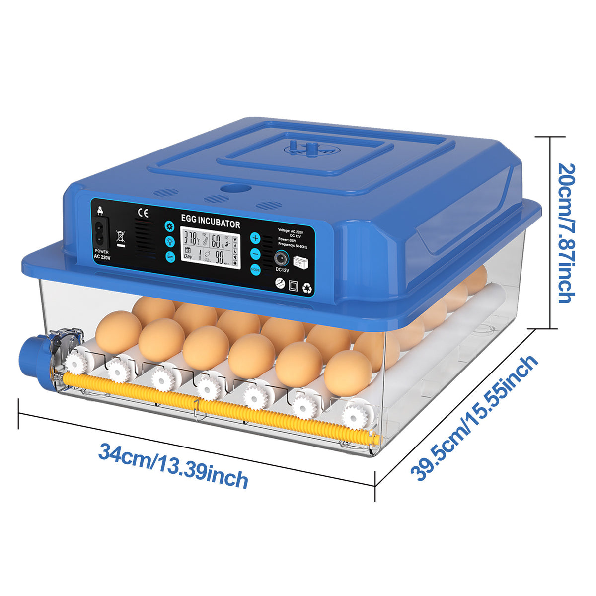 36 Eggs / Dual Power