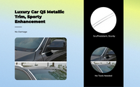 Q5 Side Mirror 09-17