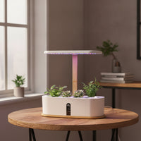Countertop Hydroponic Planter with LED Grow Light Compact Hydroponic Planter Slimline Indoor Garden with Grow Light Transparent for Apartment Dwellers, Gardeners, Kitchen, Office, Windowsill