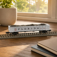 Detailed Lettering Florida FEC Carbon Car Exact Fit N Scale Freight Car Miniature Accessory Hopper Load Insert Easy Installation for Railway Collectors, Miniature Scene