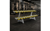 Two-Tier 10-Pair Dumbbell Rack Saddled Cradles Double-Layer Dumbbell Rack Angled Legs Fitness Storage Metal