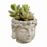 Buddha Head Plant Pot Closed Eyes Buddha-Head Planter Textured Hair
