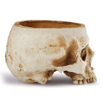 Resin Skull Flower Pot - Halloween Prop Hollow Skull Planter