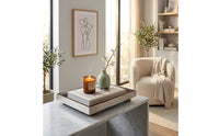 Tray with Wood Interior Polished Stainless Steel Tray Modern for Coffee Table