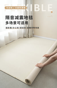 地毯客厅高级感沙发茶几毯2025新款摄影棚拍照素色整铺背景毯 米白色 100x150cm【锁边 卷发无折痕】