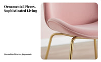 Beetledesign Chair Nordic Design Home Seating Shell-Shaped Seat for Hotel, Women