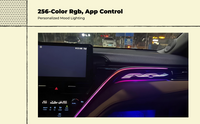 LED Mood Light Kit, Music Sync, Sedan