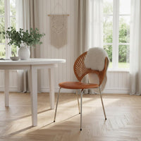 Shell Back Chair Minimalist Design Mid-Century-Century Modern Dining Chair